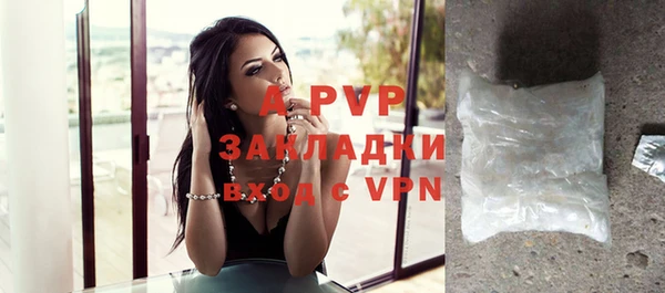 сатива Баксан