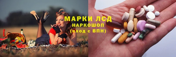 сатива Баксан