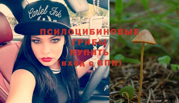 герыч Балахна