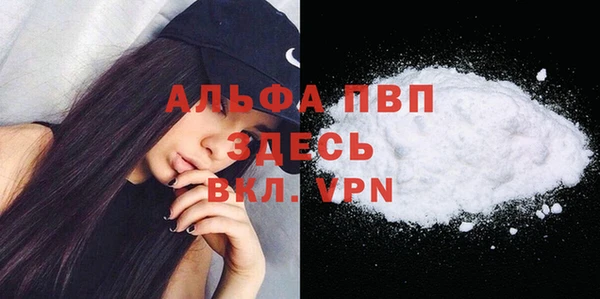 сатива Баксан