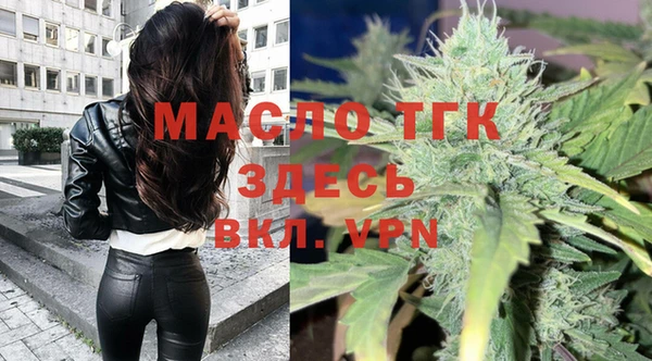 сатива Баксан