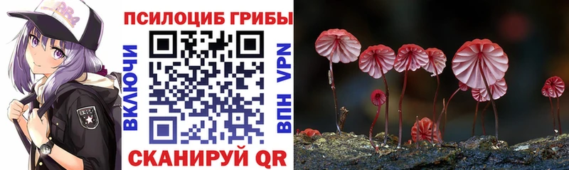 OMG зеркало Заозёрск Псилоцибиновые грибы Psilocybine cubensis дарк нет Telegram закладка