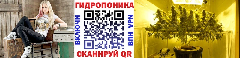 как найти наркотики  блэк спрут ONION  Конопля LSD WEED  Заозёрск 